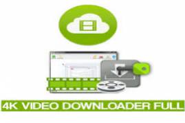 Any Video Downloader Pro 8.6.7 for iphone instal